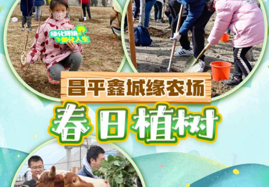 【昌平区·植树】昌平·春日植树｜2大1小仅69.9元，亲子种树、喂小动物等，累积3h志愿工时，亲身体验劳动的乐趣，感受美化环境的意义！每个孩子可带走一盆多肉