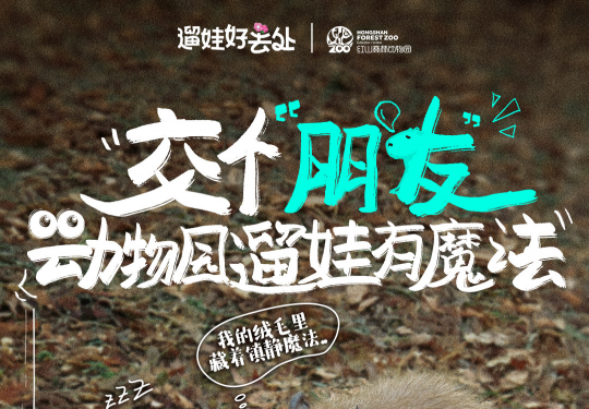 跟着抖音玩转动物园，解锁春日遛娃好去处