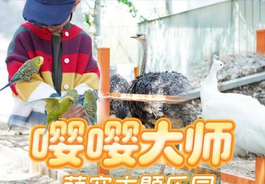2025北京嘤嘤大师萌宠主题乐园攻略(开放时间+游玩项目+门票价格)