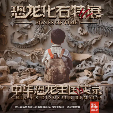 【杭州】中华恐龙王国实录：恐龙化石特展
