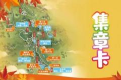 2025北京北宫彩叶季活动内容及亮点