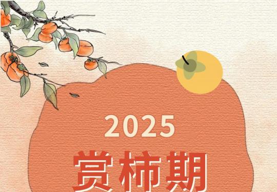 2025年老舍纪念馆丹柿小院观赏时间(附开放时间及预约指南)