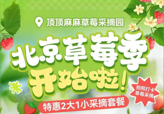 【昌平·草莓采摘】【顶顶麻麻草莓采摘园】¥108特惠2大1小，冬日双旦北京头茬红颜草莓套餐！含入棚门票+采摘带走2斤草莓（不可吃），周末节假日通用！