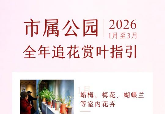 2026北京市属公园追花赏叶指南（时间+地点）