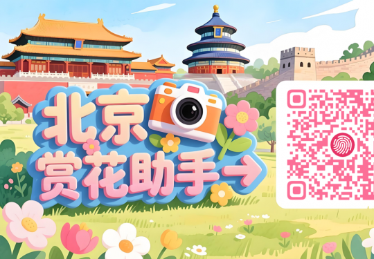 2026北京赏花助手带你解锁全年花海盛宴