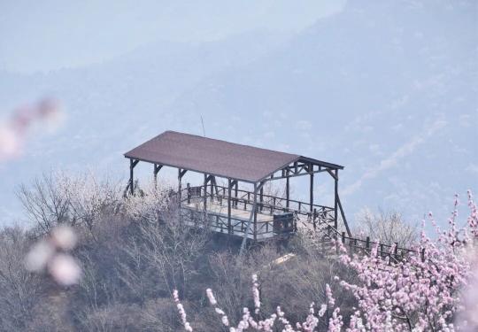 昌平十三陵大岭沟猕猴桃谷风景区 3月20日恢复开园