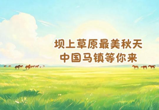 坝上草原最美秋天，中国马镇等你来