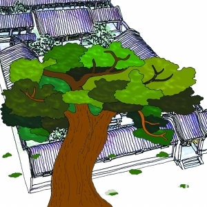 老北京为何多槐树