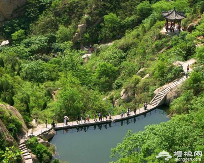 活動時間:2015年春節活動地點:北京鳳凰嶺自然風景公園公交線路