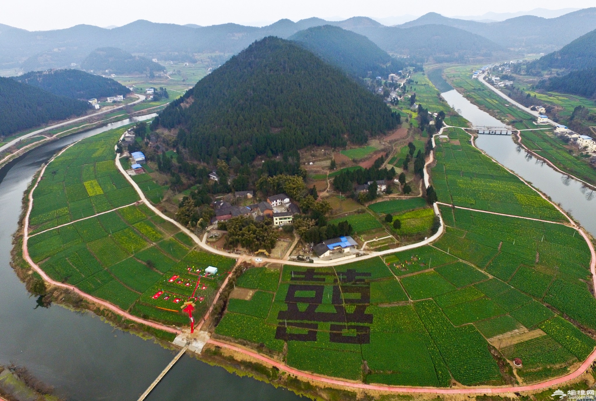 2016年2月26日,四川绵阳市三台县三元镇,油菜花开始绽放.