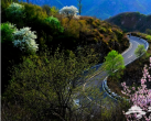 驶向北京那些美到离谱的公路，开启三月最美旅行！