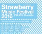 2016长沙草莓音乐节全名单正式曝光 25日开启