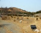 北京门头沟浅山墓地变生态“公园” 远观“不见碑只见绿”