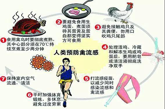北京确诊一例人感染h5n6禽流感病例,关于h5n6那些事,你都了解吗?