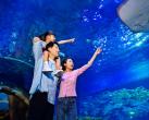 2024西安华夏文旅海洋公园门票价格/优惠政策/在线预订