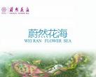 2024成都蔚然花海（开放时间+地址+门票价格+免票政策）