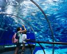 2023上海海洋水族馆门票多少钱？（附最新优惠政策）