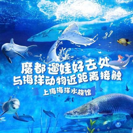 魔都遛娃好去处！￥216/1大1小玩转【上海海洋水族馆】，海底互动隧道，与海洋动物近距离接触，进入“蓝色夜空”的甜美意境~