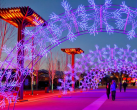 北京世园公园自贡花灯艺术节时间地点及门票预定（附活动详情）
