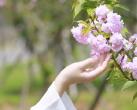 2023贵安花海拓展公园门票多少钱？(开放时间+地址+游玩攻略)