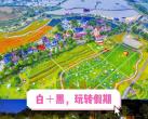 2025武汉花博汇门票预约(地图+露营攻略+门票优惠)