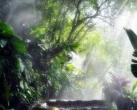 2023厦门野山谷景区门票多少钱?(附最新优惠政策)