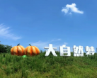 2023郑州大自然梦想城介绍(地址+开放时间+门票价格+游玩攻略)