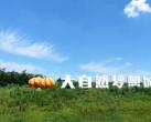 2023大自然梦想城攻略(门票价格+项目收费表+免票政策)