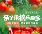 亲子采摘乐趣多！¥24.8起来相城区「小食光农庄」采小番茄/草莓！好吃又好玩，超自然的绿色度假胜地，坐标美人腿风景区！