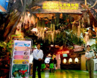 正佳雨林生态植物园门票价格/景区地址/门票预定