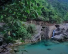 南海湾森林生态园简介（景区介绍+开放时间+订票指南）