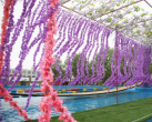 2023济南黄河水上世界门票多少钱(附购票入口+游玩攻略)