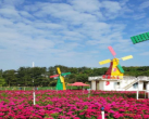 2023梦幻百花洲现在开放吗（门票价格+游玩攻略+优惠政策）