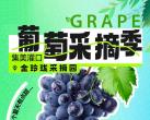 厦门哪里有葡萄采摘（采摘园介绍+地址+团购）