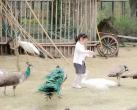 2023江南花伴湾门票多少钱？（门票价格+优惠政策）