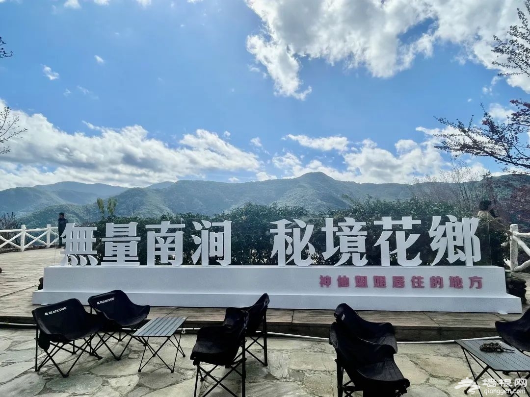 美翻了！无量山樱花谷迎来最佳观赏期，附自助游打卡手册[墙根网]