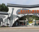 2024杭州少年儿童公园攻略(开放时间+门票价格+项目介绍)
