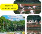 2024广东旅游年卡购买入口+景点介绍+激活指南+使用规则