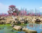 2024问花村门票价格+优惠政策+游玩介绍+赏花花