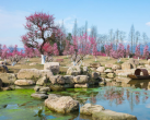 2024问花村门票价格+优惠政策+景点介绍