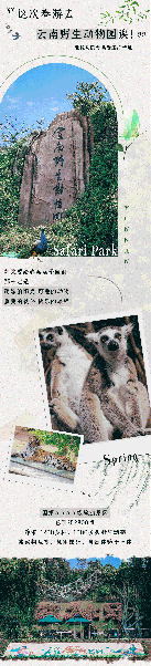 2024云南野生动物园(门票票价+开放时间+门票预约+游玩攻略)
