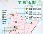 衡水2024年赏花地图来了