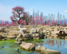 2024都江堰问花村景区门票+介绍+最佳游玩时间+交通