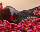 2024木兰云雾山门票+游玩攻略+预约入口+赏花攻略