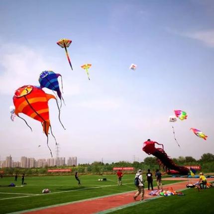 京津冀首届国际风筝节