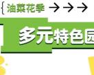 2024北京温榆河朝阳区油菜花季园区活动项目
