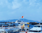 青岛海上观光飞洋码头海上游船观光票