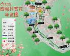 2025北京西峪村赏桃花路线指南