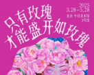 【朝阳区·今日美术馆·展览】赵小黎个展：只有玫瑰才能盛开如玫瑰