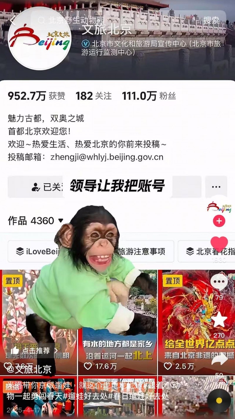 携全国动物园“顶流”出道，解锁更多春日好去处[墙根网]